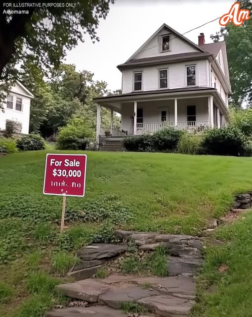 The house was so affordable I thought I had won the lottery, but when I saw the basement, everything became clear