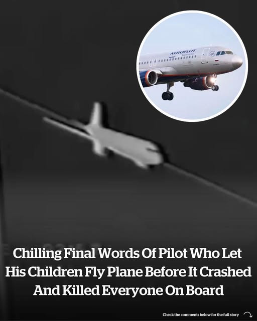 The Pilot’s Haunting Last Words Before The Plane Crashed And Killed Everyone On Board After He Let His Children Fly