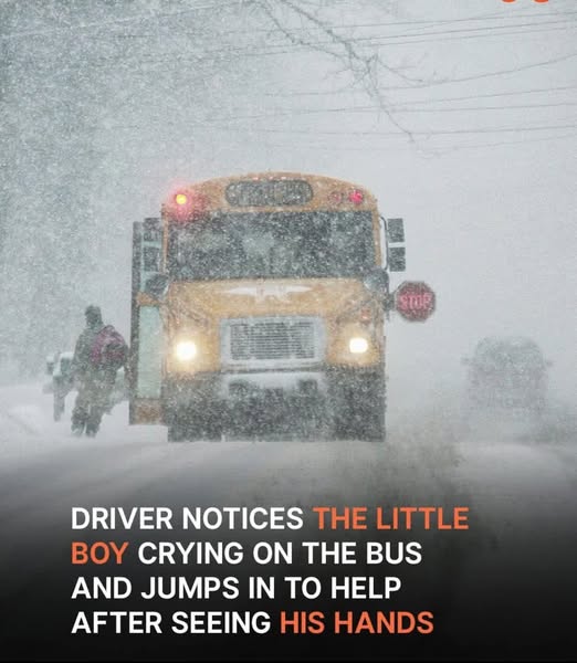 Driver Notices Little Boy Crying in School Bus, Jumps in to Help after Seeing His Freezing Hands – Story of the Day