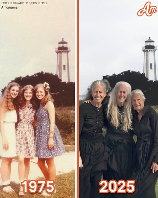 Three women in their later years embarked on an adventure to make their biggest dreams come true