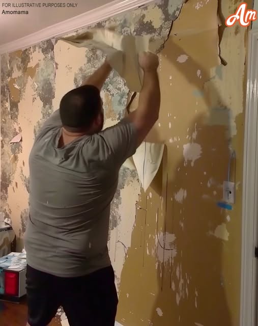 After our divorce, my ex-husband tore down the wallpaper, claiming, “I paid for it.” Little did he know, karma had a surprise in store for him