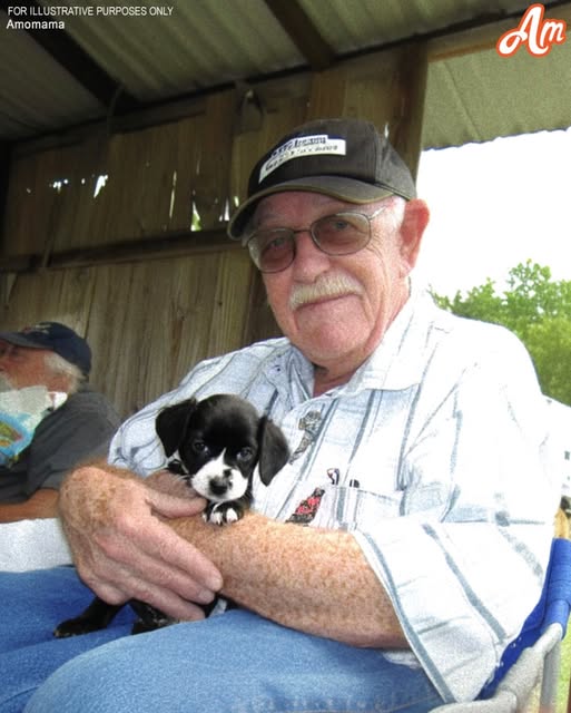 A neglected puppy transforms into the guardian angel that a heartbroken elderly man had been praying for