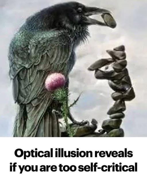 Optical illusion reveals if you are too self critical