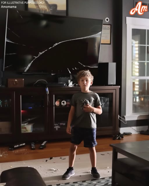 My child broke my sister-in-law’s TV screen, and I was willing to cover the cost—until she insisted on a newer, upgraded model