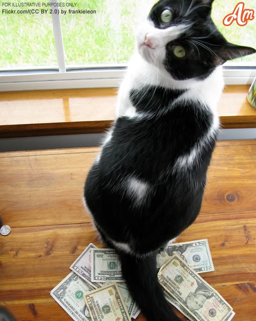 Every day, an older woman discovers cash on the floor, watches her cat retrieve it, and decides to follow him—today’s tale